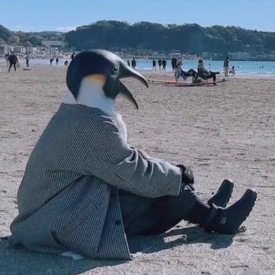 5月HPイベント　ヨシピピペンギン